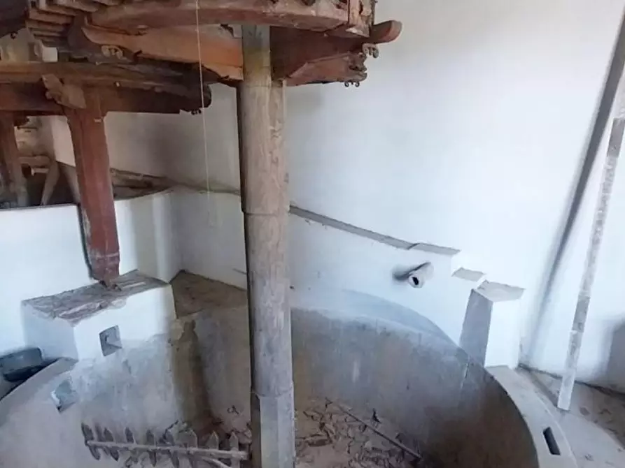 Immagine 27 di Rustico / casale in vendita  a Camaiore