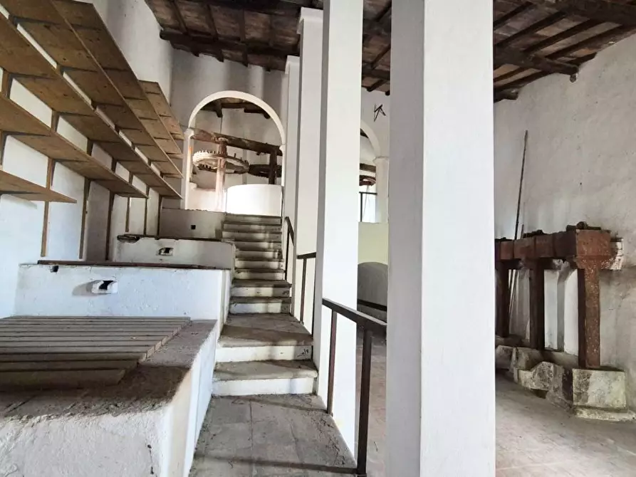 Immagine 22 di Rustico / casale in vendita  a Camaiore