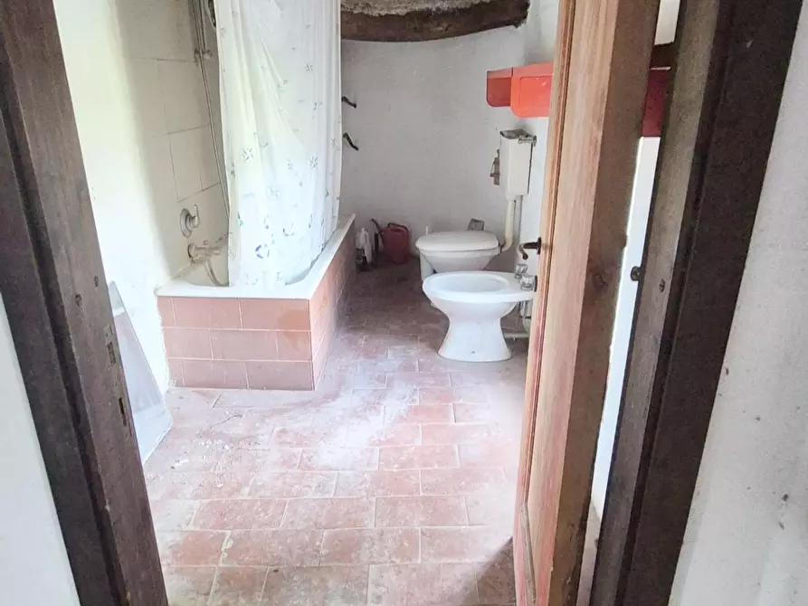 Immagine 35 di Rustico / casale in vendita  a Camaiore