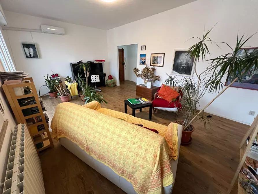 Immagine 6 di Appartamento in vendita  a Cecina