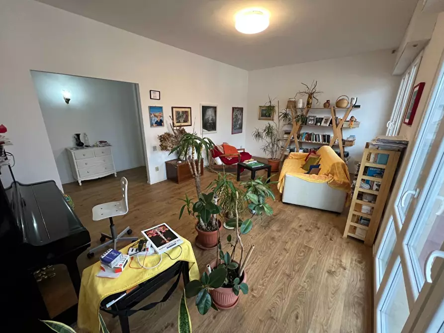 Immagine 4 di Appartamento in vendita  a Cecina