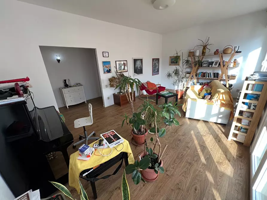 Immagine 2 di Appartamento in vendita  a Cecina