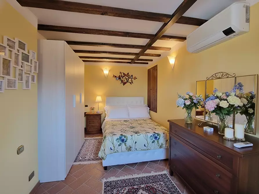 Immagine 6 di Appartamento in vendita  a Peccioli