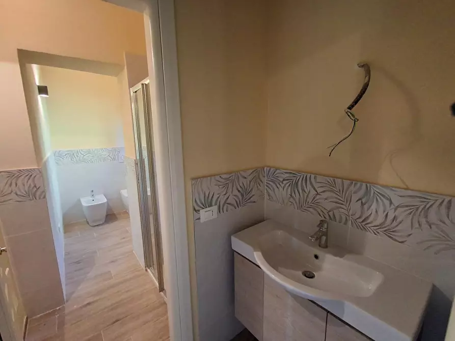 Immagine 11 di Appartamento in vendita  a San Giuliano Terme