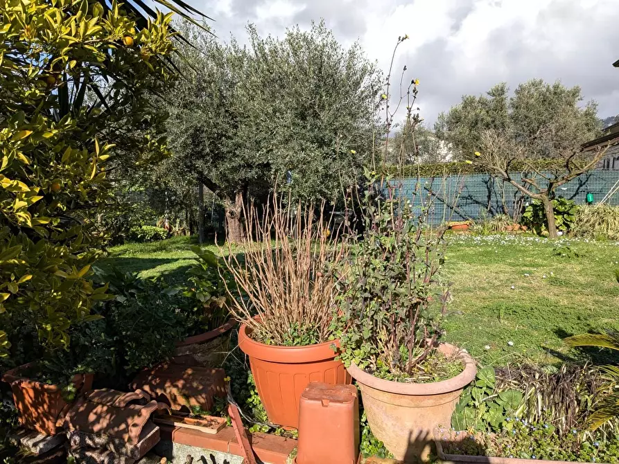 Immagine 8 di Porzione di casa in vendita  a Massa