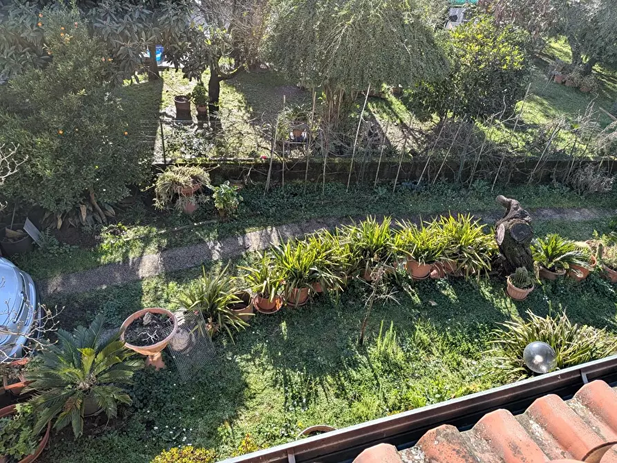 Immagine 60 di Porzione di casa in vendita  a Massa