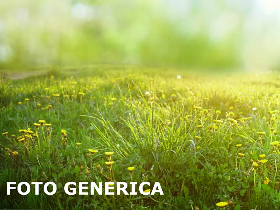 Immagine 1 di Terreno agricolo in vendita  a San Miniato