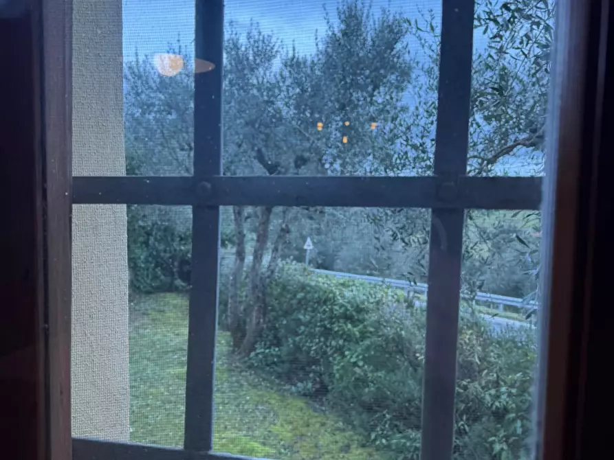 Immagine 45 di Terratetto in vendita  a Castelfiorentino