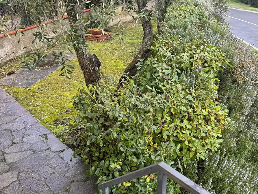 Immagine 41 di Terratetto in vendita  a Castelfiorentino