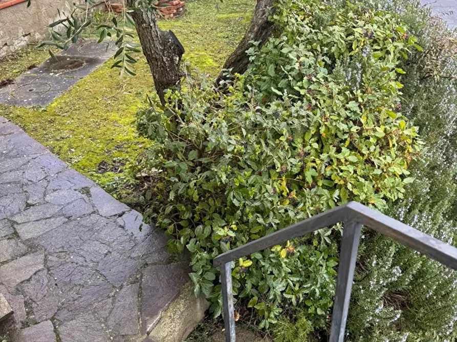 Immagine 18 di Terratetto in vendita  a Castelfiorentino