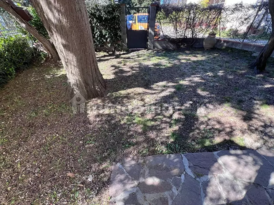 Immagine 12 di Terratetto in vendita  a Castelfiorentino