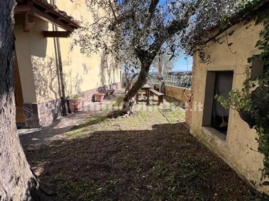 Immagine 60 di Terratetto in vendita  a Castelfiorentino
