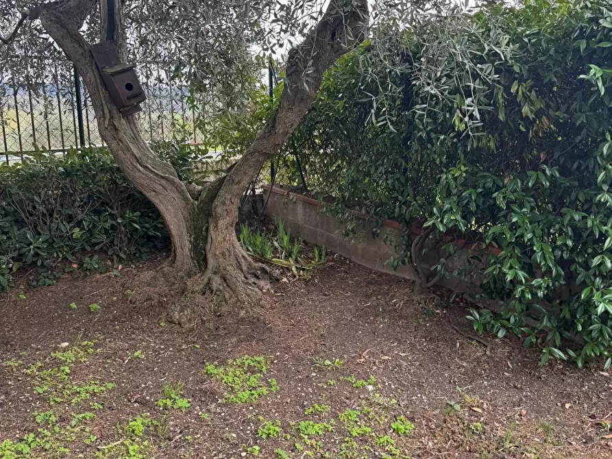 Immagine 6 di Terratetto in vendita  a Castelfiorentino