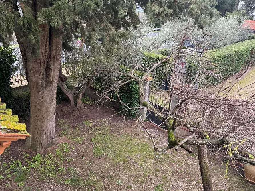 Immagine 54 di Terratetto in vendita  a Castelfiorentino
