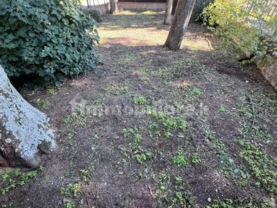 Immagine 19 di Terratetto in vendita  a Castelfiorentino