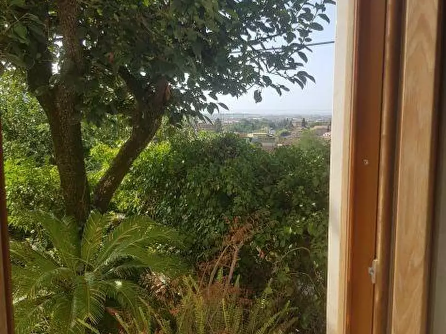 Immagine 13 di Villa in vendita  a Carrara