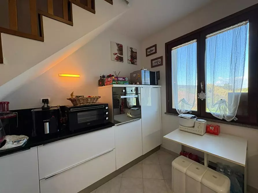 Immagine 10 di Appartamento in vendita  a Bibbona