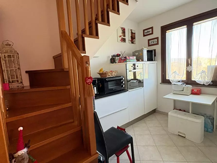 Immagine 12 di Appartamento in vendita  a Bibbona