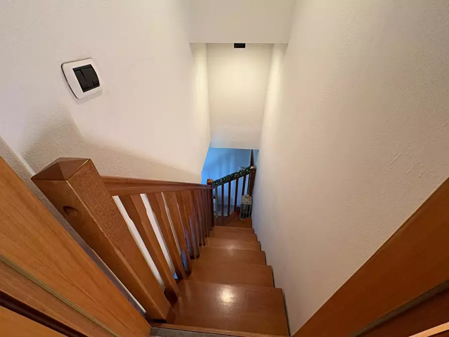 Immagine 23 di Appartamento in vendita  a Bibbona