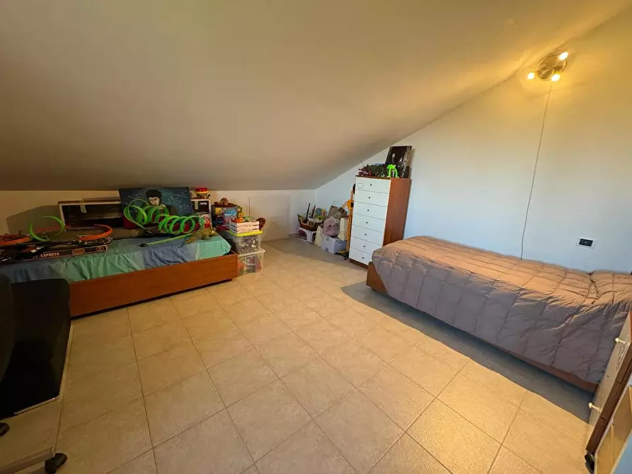 Immagine 24 di Appartamento in vendita  a Bibbona