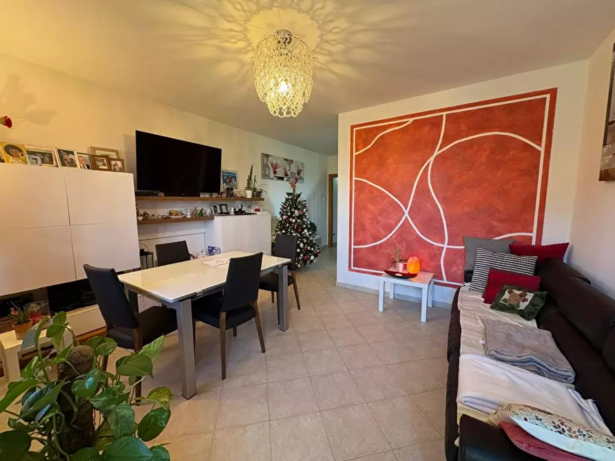 Immagine 2 di Appartamento in vendita  a Bibbona