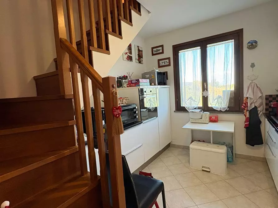 Immagine 11 di Appartamento in vendita  a Bibbona