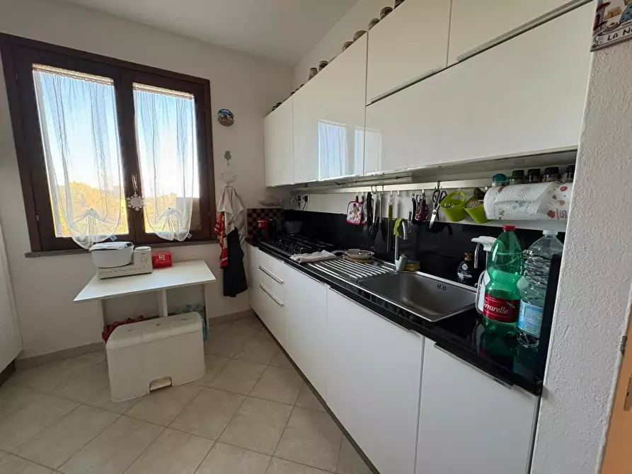 Immagine 13 di Appartamento in vendita  a Bibbona