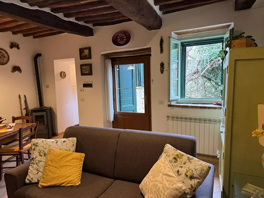 Immagine 6 di Appartamento in vendita  a Monticiano