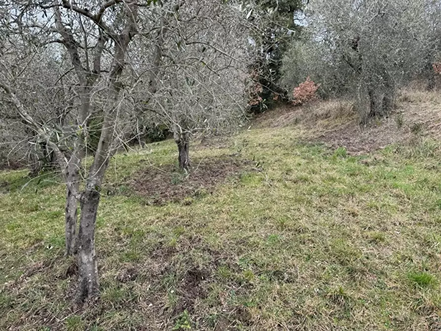 Immagine 23 di Appartamento in vendita  a Monticiano