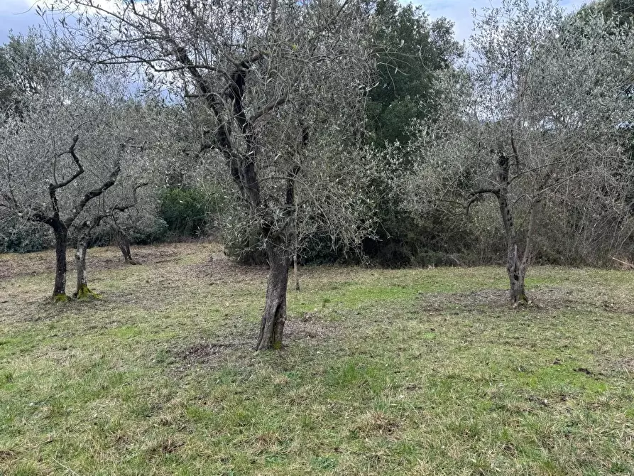 Immagine 28 di Appartamento in vendita  a Monticiano