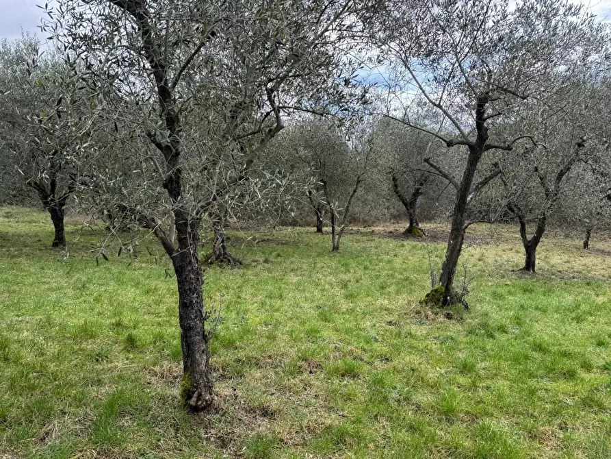 Immagine 27 di Appartamento in vendita  a Monticiano