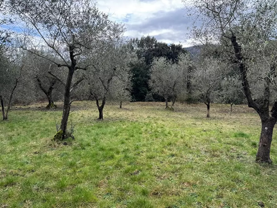 Immagine 25 di Appartamento in vendita  a Monticiano