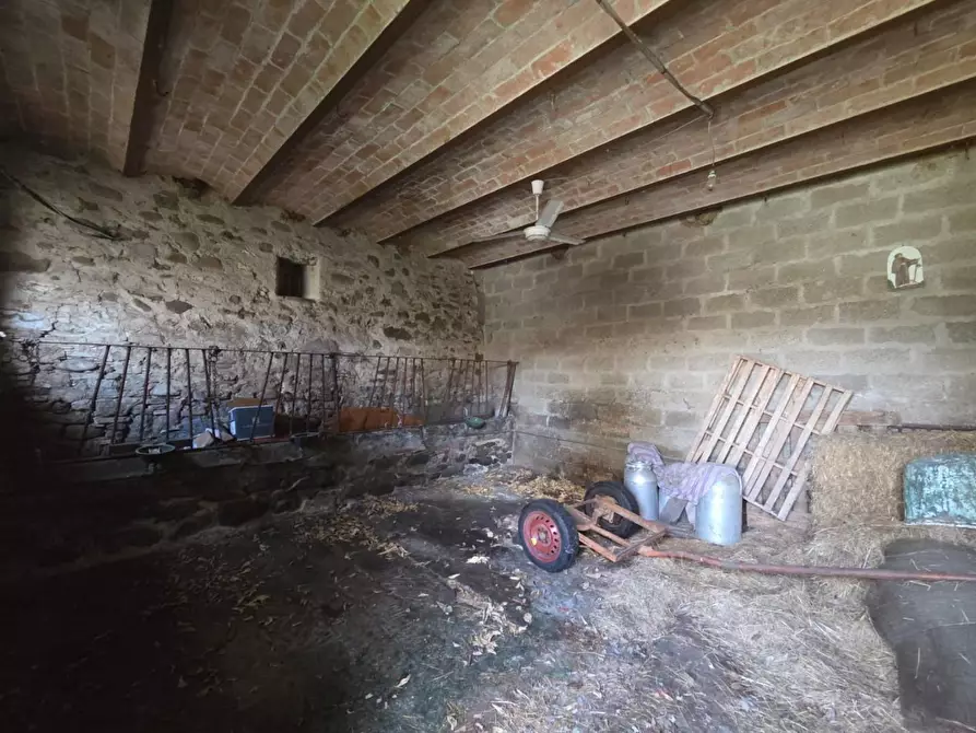 Immagine 3 di Deposito in vendita  a Capannori