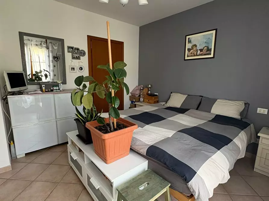 Immagine 18 di Appartamento in vendita  a Crespina Lorenzana