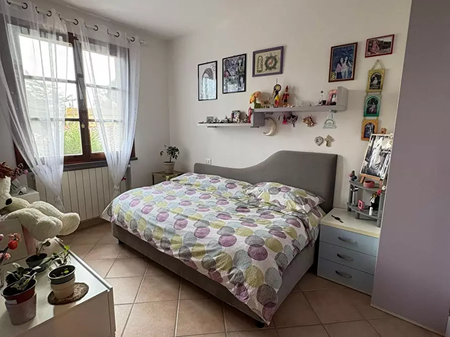 Immagine 15 di Appartamento in vendita  a Crespina Lorenzana