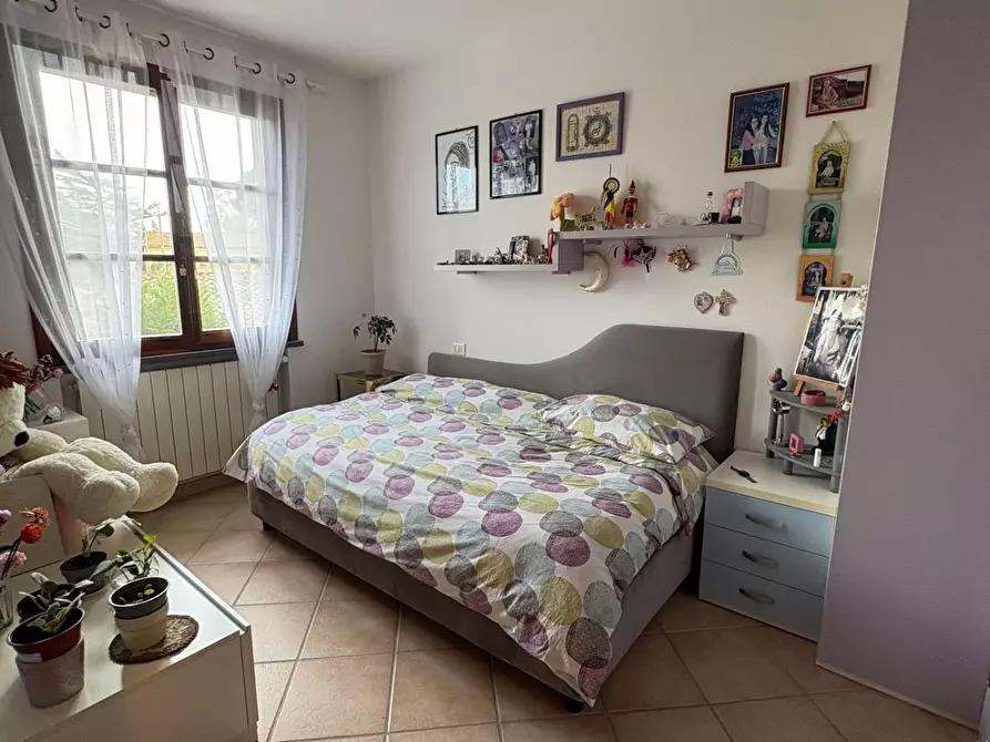 Immagine 14 di Appartamento in vendita  a Crespina Lorenzana