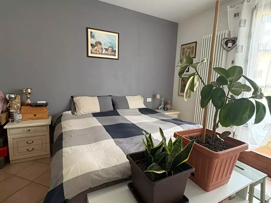 Immagine 19 di Appartamento in vendita  a Crespina Lorenzana