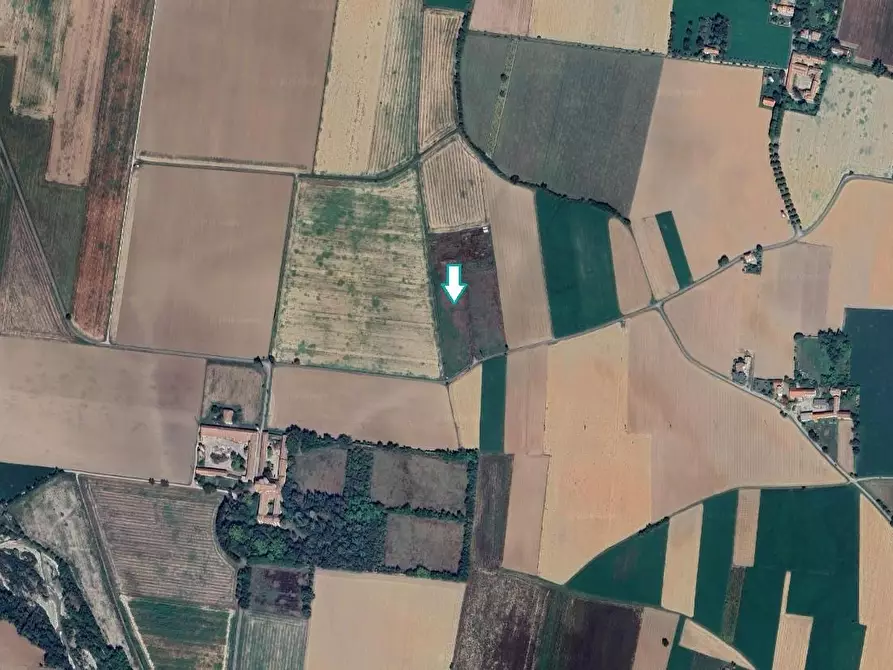 Immagine 1 di Terreno agricolo in vendita  a Casalnoceto
