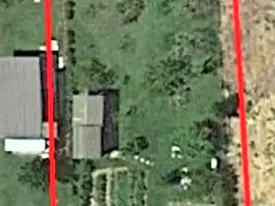 Immagine 1 di Terreno agricolo in vendita  a Montopoli In Val D'arno