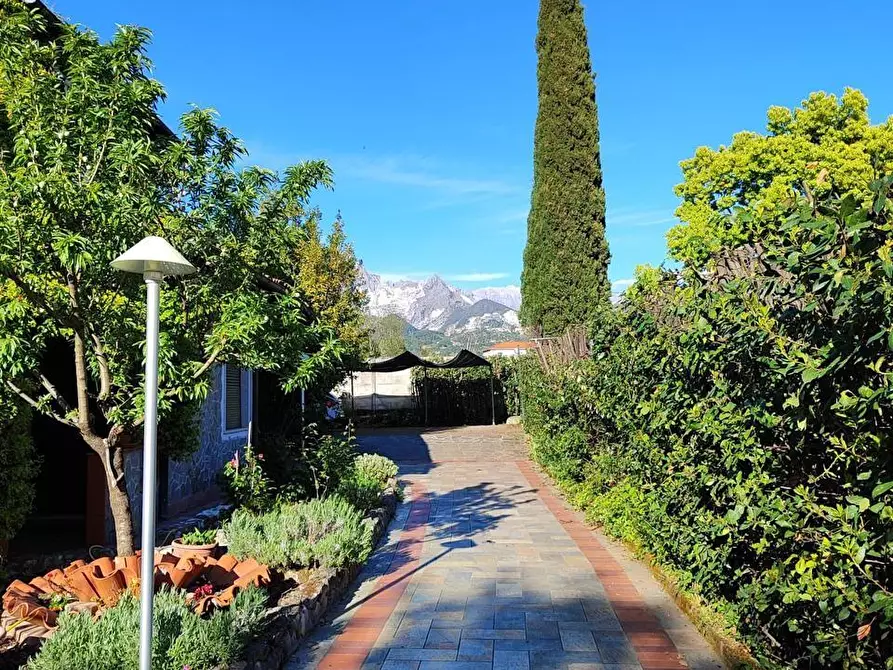 Immagine 11 di Villa in vendita  a Carrara