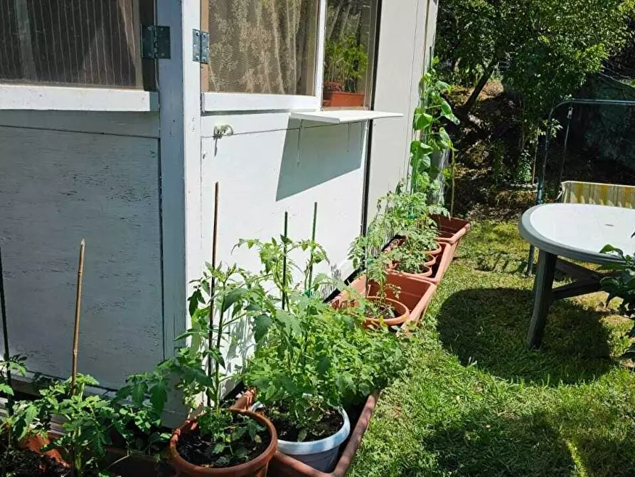 Immagine 4 di Bungalow in vendita  a Castelnuovo Magra