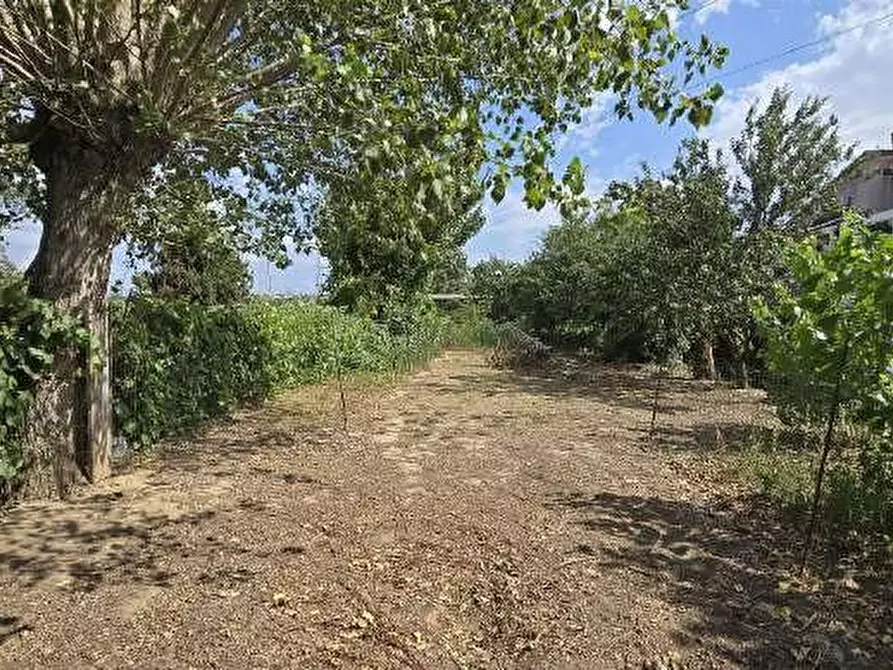 Immagine 8 di Villa in vendita  a Castelfranco Di Sotto