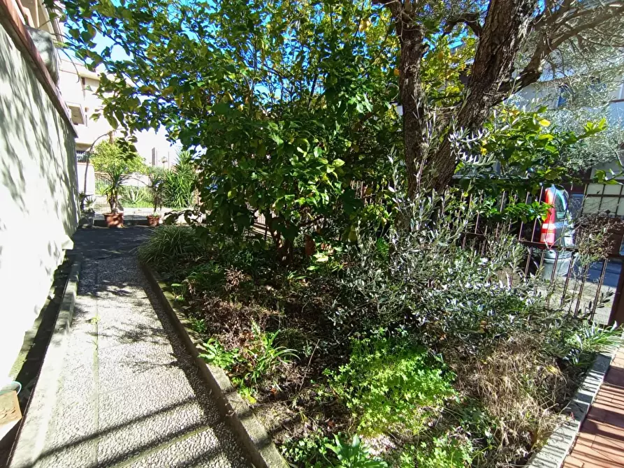 Immagine 1 di Appartamento in vendita  a Pisa