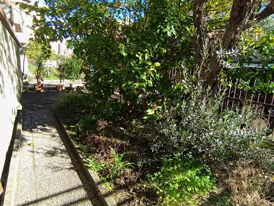 Immagine 2 di Appartamento in vendita  a Pisa