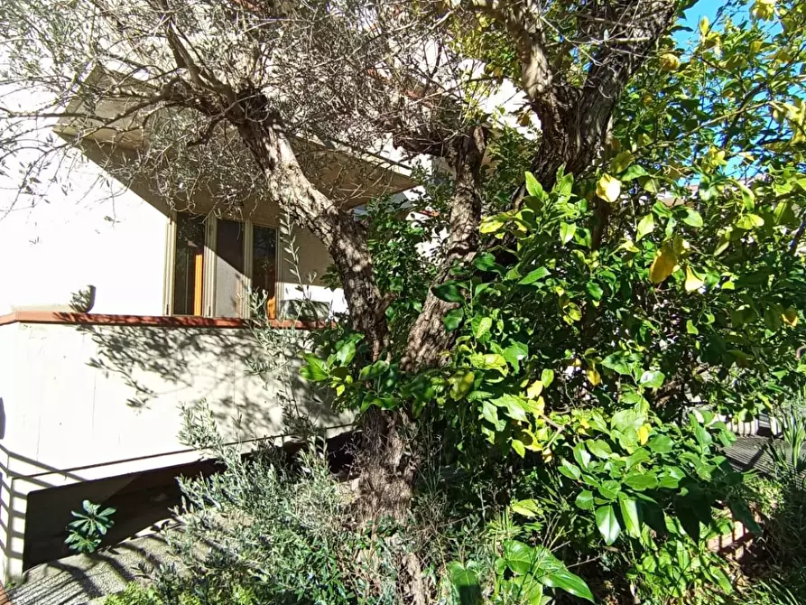 Immagine 42 di Appartamento in vendita  a Pisa