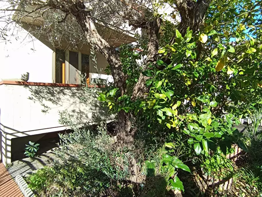 Immagine 41 di Appartamento in vendita  a Pisa