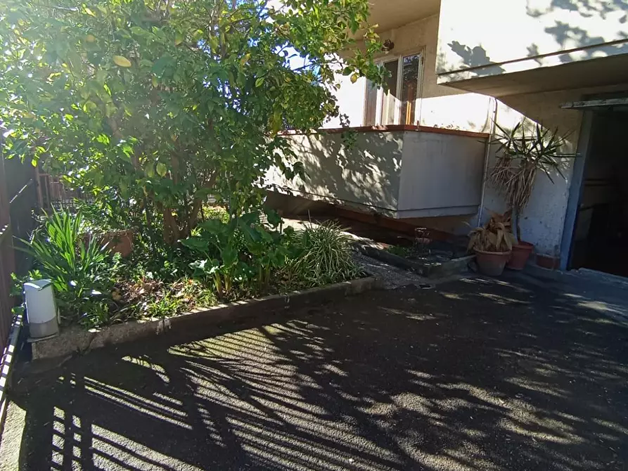 Immagine 40 di Appartamento in vendita  a Pisa