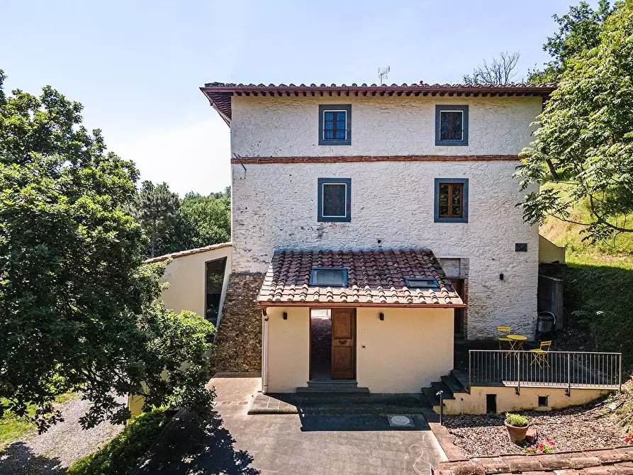 Immagine 25 di Rustico / casale in vendita  a Vicopisano