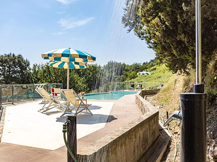 Immagine 13 di Rustico / casale in vendita  a Vicopisano