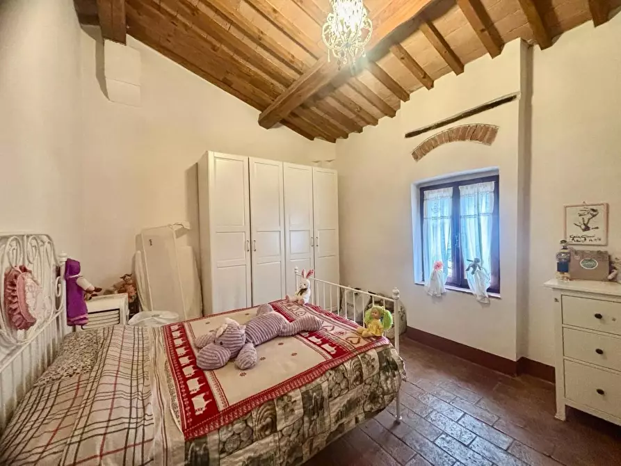 Immagine 31 di Terratetto in vendita  a Palaia